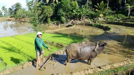 Philippinen – mit dem Rad von Insel zu Insel
