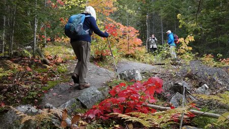 Kanada – Indian Summer: Montreal bis Quebec