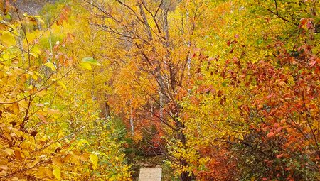 Kanada – Indian Summer: Montreal bis Quebec