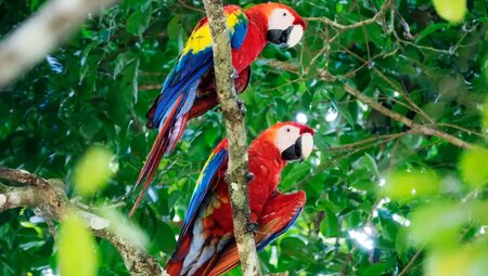 Mexiko – Land der Maya: Mexiko-Stadt bis Yucatan