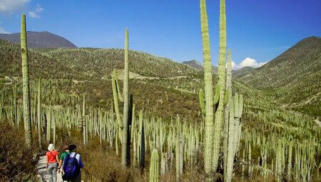 Mexiko – Land der Maya: Mexiko-Stadt bis Yucatan