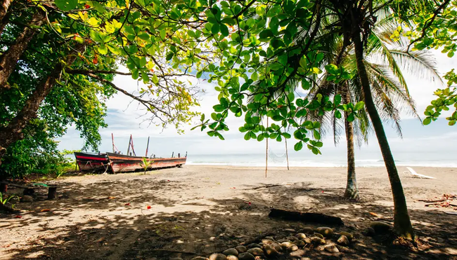 Costa Rica – Naturparadies zwischen Karibik & Pazifik