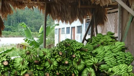 Costa Rica – Wandern im wilden Süden