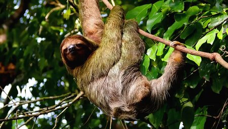 Costa Rica – Wandern im wilden Süden