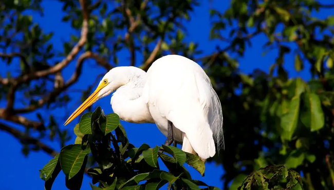 Costa Rica – Wandern im wilden Süden