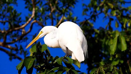 Costa Rica – Wandern im wilden Süden
