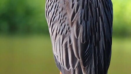 Costa Rica – Wandern im wilden Süden