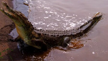 Costa Rica – Wandern im wilden Süden
