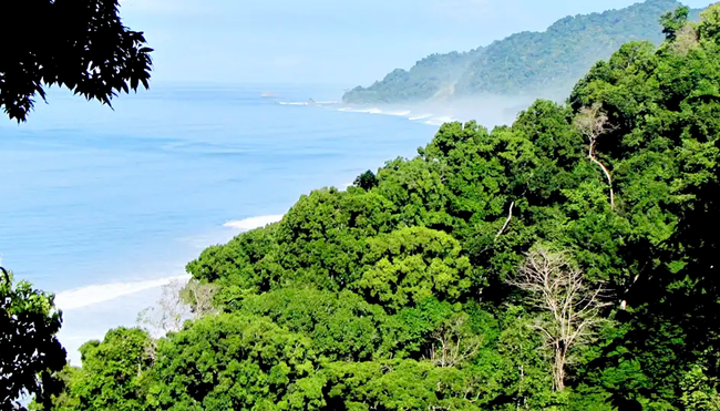 Costa Rica - Wandern, Staunen und Genießen