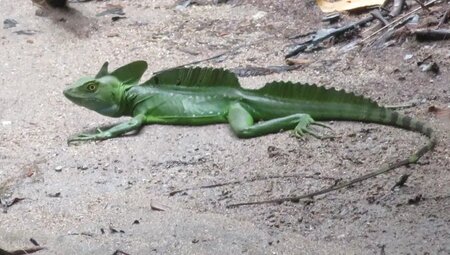 Costa Rica – Tropische Pfade zwischen den Ozeanen