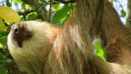 Costa Rica – Tropische Pfade zwischen den Ozeanen