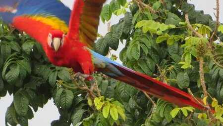 Costa Rica – Tropische Pfade zwischen den Ozeanen