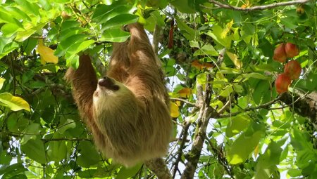 Costa Rica – Tropische Pfade zwischen den Ozeanen