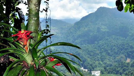 Costa Rica – MTB Reise durch Regenwälder zum Pazifik