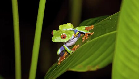 Costa Rica – MTB Reise durch Regenwälder zum Pazifik