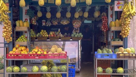 MTB Costa Rica - Pura Vida, Vulkane und Urwald