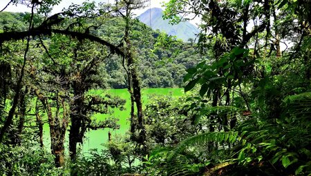 Costa Rica – MTB Reise durch Regenwälder zum Pazifik