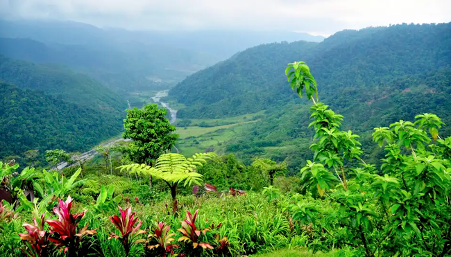 Costa Rica – MTB Reise durch Regenwälder zum Pazifik