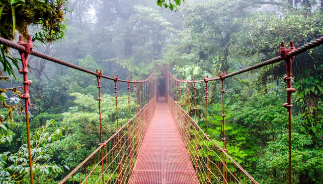 Costa Rica – E-Bike: Pura Vida, Dschungel und Vulkane