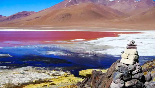 Chile, Bolivien - Wüsten, Salzseen und Geysire