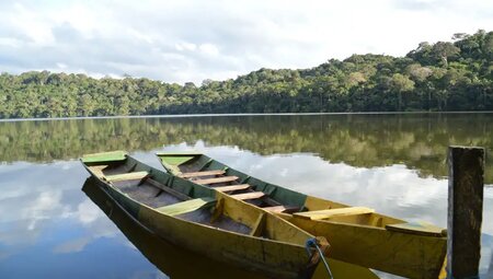 Bolivien – Madidi Nationalpark