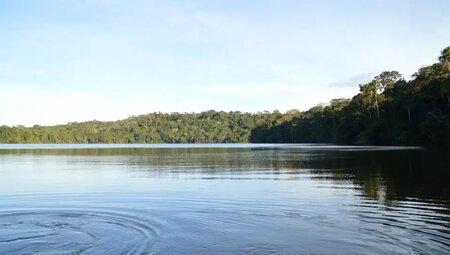 Bolivien – Madidi Nationalpark