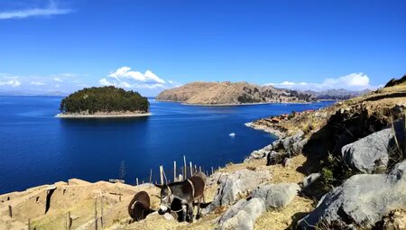 Bolivien – Magie zwischen Salzwüste & Titicacasee