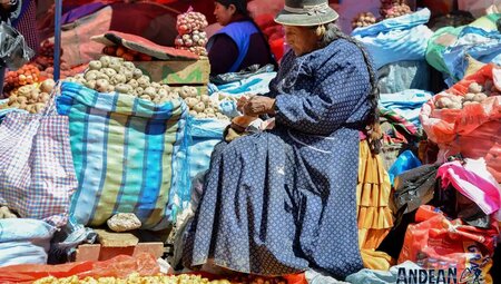 Bolivien – 6000er Trilogie in den Anden