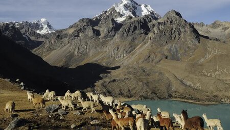 Peru – Trekking durch die Anden zum Amazonas