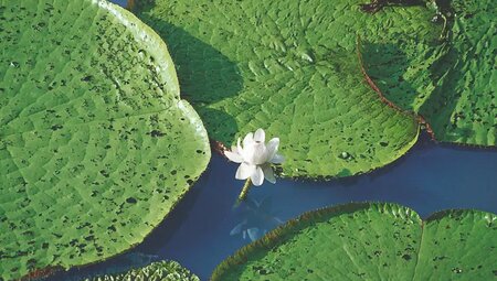 Peru – Trekking durch die Anden zum Amazonas