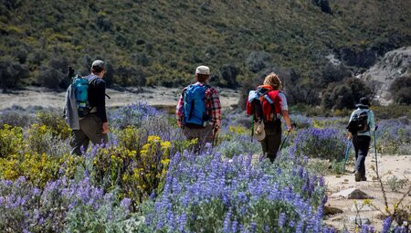 Peru – Der neue Inka Trail