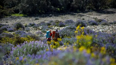 Peru – Der neue Inka Trail