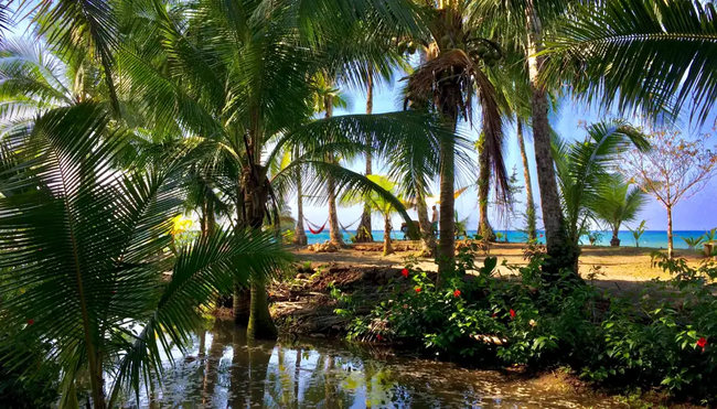 Kolumbien – Entspannung am wilden Pazifik