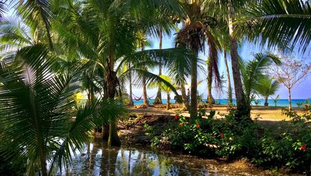 Kolumbien – Entspannung am wilden Pazifik