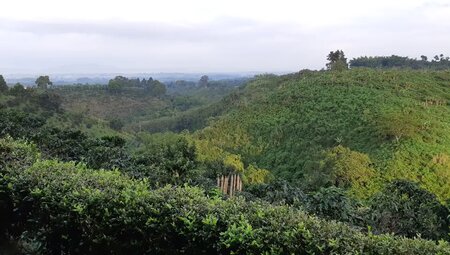 Kolumbien – Von den Anden zur Karibikküste