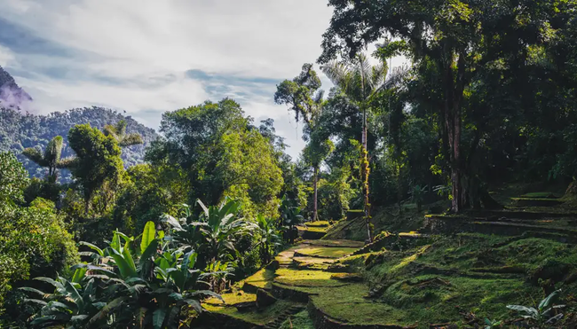 Kolumbien - Durch die Anden zur verlorenen Stadt