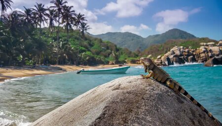 Kolumbien - Durch die Anden zur verlorenen Stadt