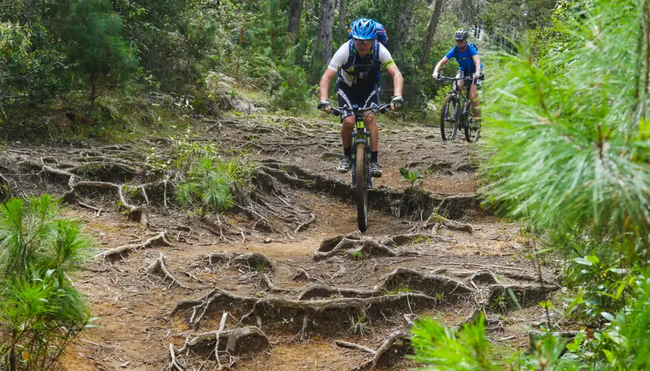 MTB Kolumbien - Andenpisten und Karibik-Feeling