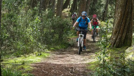 Kolumbien – MTB Reise auf Andenpisten zur Karibik