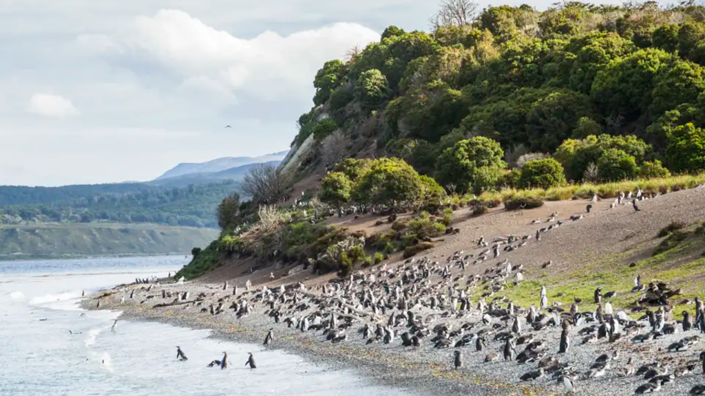 Argentinien, Chile - Patagonien pur