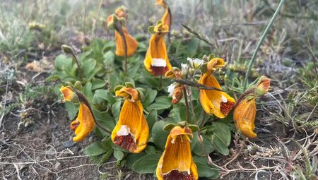 Patagonien – Torres del Paine & Feuerland zu Fuß