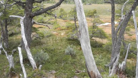 Patagonien – Trekking im Torres del Paine & in Aysen