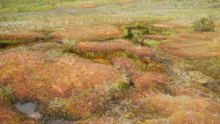 Patagonien – Trekking im Torres del Paine & in Aysen