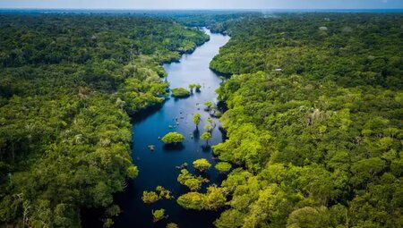 Brasilien – Amazonas zu Fuß entdecken
