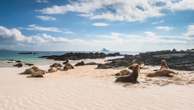 Ecuador - Galápagos-Inseln