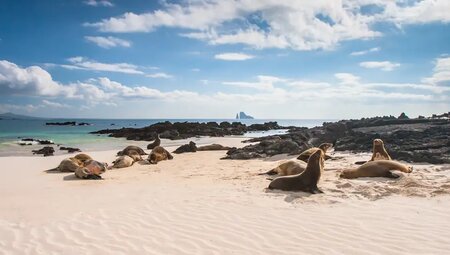 Ecuador - Galápagos-Inseln