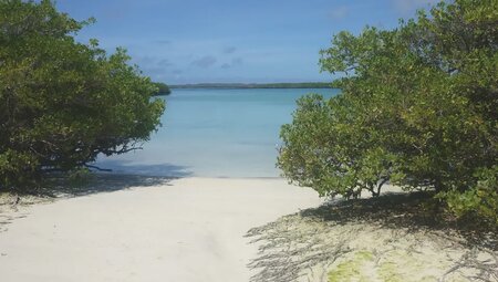 Ecuador - Galápagos-Inseln