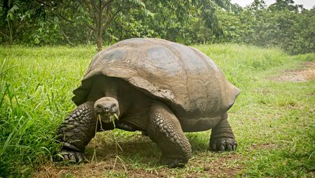 Ecuador – Galapagos-Inseln