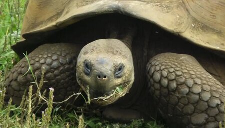 Ecuador – Galapagos-Inseln