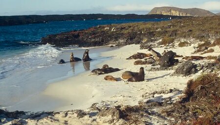 Ecuador – Galapagos-Inseln